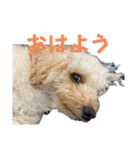 中村家いぶら（個別スタンプ：2）