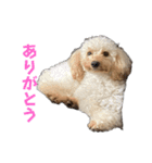 中村家いぶら（個別スタンプ：4）