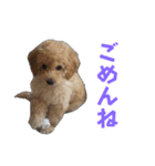 中村家いぶら（個別スタンプ：5）