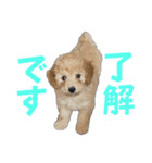 中村家いぶら（個別スタンプ：7）