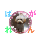 中村家いぶら（個別スタンプ：14）