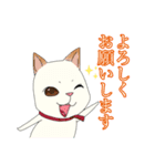 愛犬★ROCKY（個別スタンプ：4）