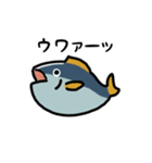 動くマグロ（文字付き）（個別スタンプ：3）