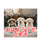 リアル☆子犬たちのかわいいひととき（個別スタンプ：1）