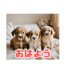 リアル☆子犬たちのかわいいひととき（個別スタンプ：2）