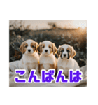 リアル☆子犬たちのかわいいひととき（個別スタンプ：4）