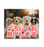 リアル☆子犬たちのかわいいひととき（個別スタンプ：7）