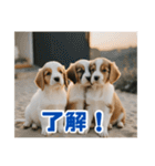 リアル☆子犬たちのかわいいひととき（個別スタンプ：8）