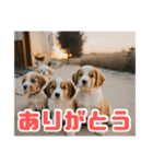 リアル☆子犬たちのかわいいひととき（個別スタンプ：9）