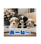 リアル☆子犬たちのかわいいひととき（個別スタンプ：11）