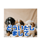 リアル☆子犬たちのかわいいひととき（個別スタンプ：15）