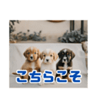 リアル☆子犬たちのかわいいひととき（個別スタンプ：16）