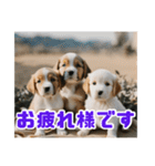 リアル☆子犬たちのかわいいひととき（個別スタンプ：18）