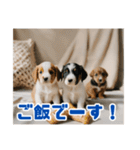 リアル☆子犬たちのかわいいひととき（個別スタンプ：26）