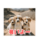 リアル☆子犬たちのかわいいひととき（個別スタンプ：32）