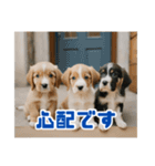 リアル☆子犬たちのかわいいひととき（個別スタンプ：36）