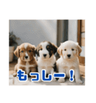 リアル☆子犬たちのかわいいひととき（個別スタンプ：38）