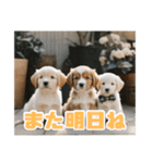 リアル☆子犬たちのかわいいひととき（個別スタンプ：39）