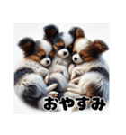 子犬おやすみ詰め合わせ（個別スタンプ：19）