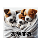 子犬おやすみ詰め合わせ（個別スタンプ：24）