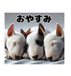 子犬おやすみ詰め合わせ（個別スタンプ：34）