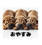 子犬おやすみ詰め合わせ（個別スタンプ：40）