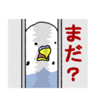 トイレいきたい（個別スタンプ：13）