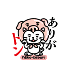 ねこかぶり neko-kaburi ver.3（個別スタンプ：4）