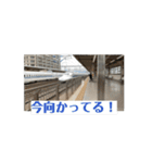 タメ口と敬語おり混ぜ動画鉄道スタンプ（個別スタンプ：7）