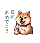 嫁用柴犬【日常会話・夫婦・連絡】（個別スタンプ：14）