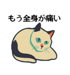 具合が悪い猫ちゃんスタンプ（個別スタンプ：10）