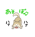 柴犬ミックス 散歩に行こう！（個別スタンプ：6）