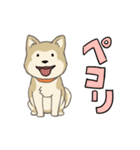 柴犬ミックス 散歩に行こう！（個別スタンプ：9）