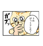 愉快な猫メイちゃん4 4コマ漫画風（個別スタンプ：13）