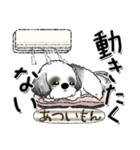 Black ＆ White シーズー犬『夏真っ盛り』（個別スタンプ：27）