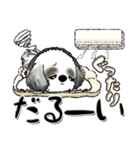 Black ＆ White シーズー犬『夏真っ盛り』（個別スタンプ：28）