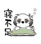 Black ＆ White シーズー犬『夏真っ盛り』（個別スタンプ：36）