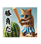 ビーチグラサン猫 日常の一コマ（個別スタンプ：4）