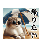 ビーチグラサン猫 日常の一コマ（個別スタンプ：7）