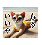 ビーチグラサン猫 日常の一コマ（個別スタンプ：16）