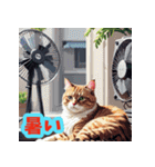 夏休みを楽しむ猫（個別スタンプ：23）