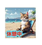 夏休みを楽しむ猫（個別スタンプ：24）