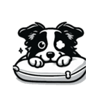 ボーダーコリー_1（個別スタンプ：18）