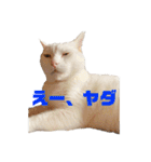 まいにち福くん3（個別スタンプ：3）