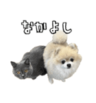 しあわせのたれめ（個別スタンプ：6）