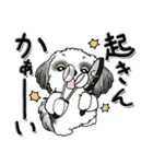 Black ＆ White シーズー犬 『親って大変』（個別スタンプ：2）