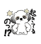 Black ＆ White シーズー犬 『親って大変』（個別スタンプ：5）