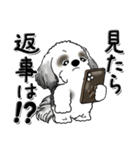 Black ＆ White シーズー犬 『親って大変』（個別スタンプ：8）