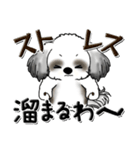 Black ＆ White シーズー犬 『親って大変』（個別スタンプ：11）