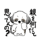 Black ＆ White シーズー犬 『親って大変』（個別スタンプ：13）